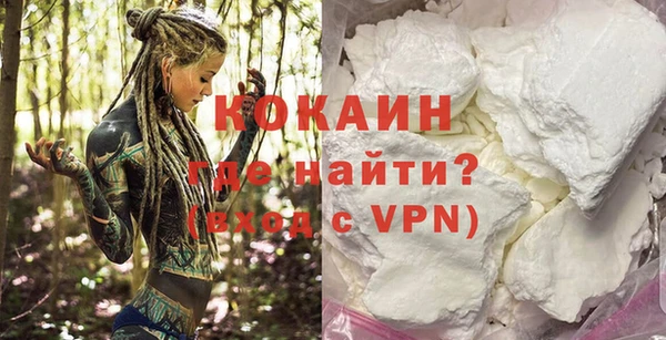 шишки Михайлов