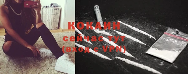 шишки Михайлов