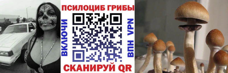 Галлюциногенные грибы Cubensis  Александров 